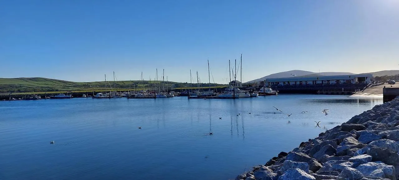 Murphy'S Guesthouse Dingle